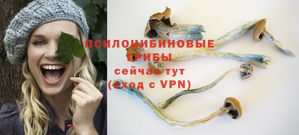 mix Абаза